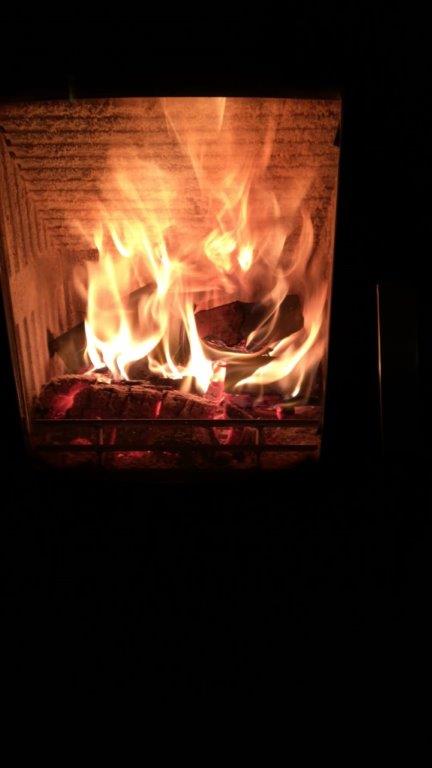 Niedersachsen-Wintergrillen